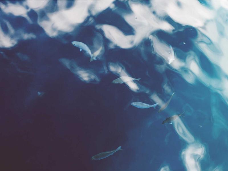 Rosa Almonte Puerto Plata